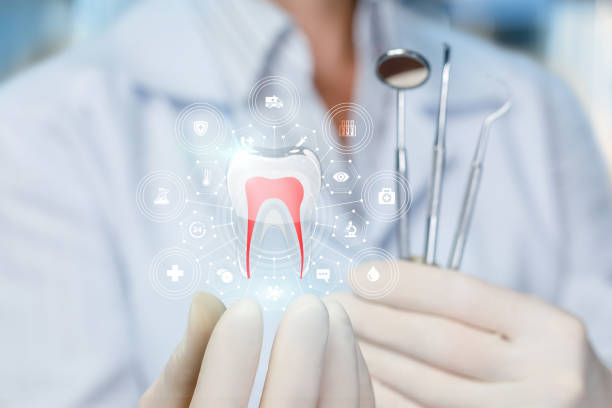Best Traditional Braces  in Everett, WA